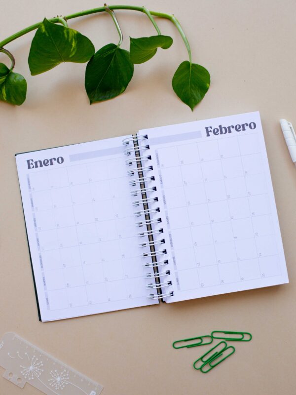 Combo Agenda Filomena Esencial Gris 2026