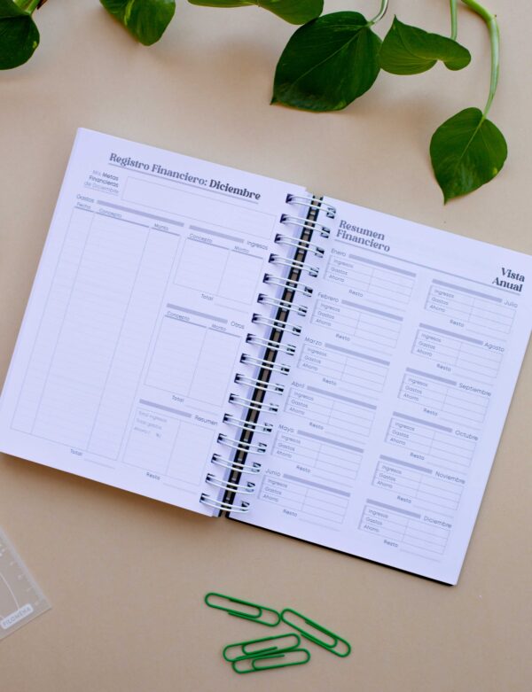 Combo Agenda Filomena Esencial Gris 2026