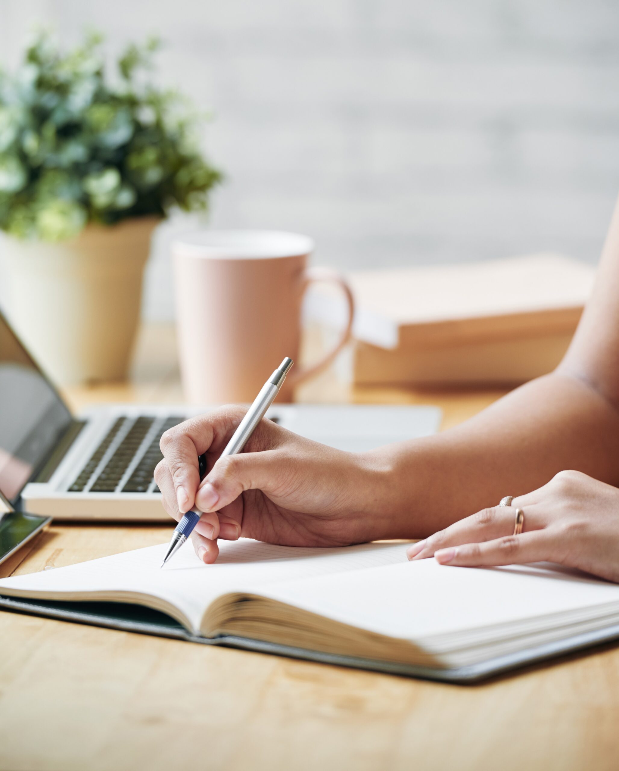 Curso de Organización Personal Filomena (Preventa)