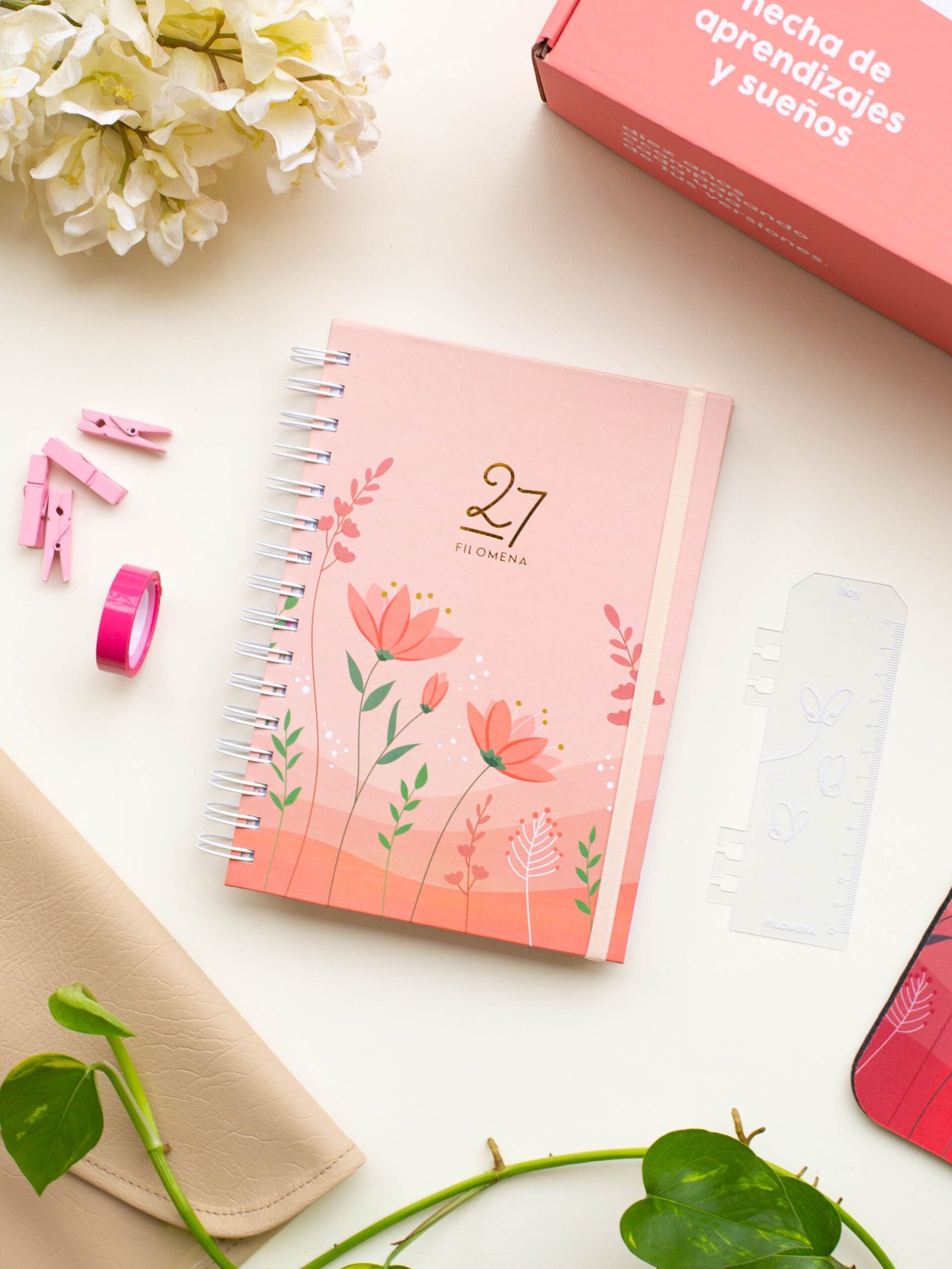 Agenda Pink 2027