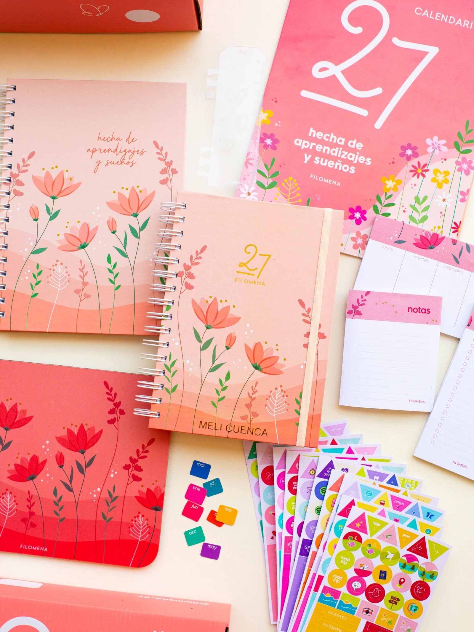 Combo 2 - Pink 2027 (Agenda Filomena 2027)